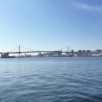 ＨＡＲＵＭＩ　ＦＬＡＧ　ＰＡＲＫ　ＶＩＬＬＡＧＥＴ棟 hidden gallery image