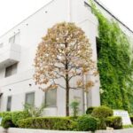 オープンレジデンシア代々木ザ・ハウス hidden gallery image