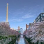 パークホームズ目黒ザレジデンス hidden gallery image