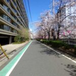 パークホームズ目黒ザレジデンス hidden gallery image